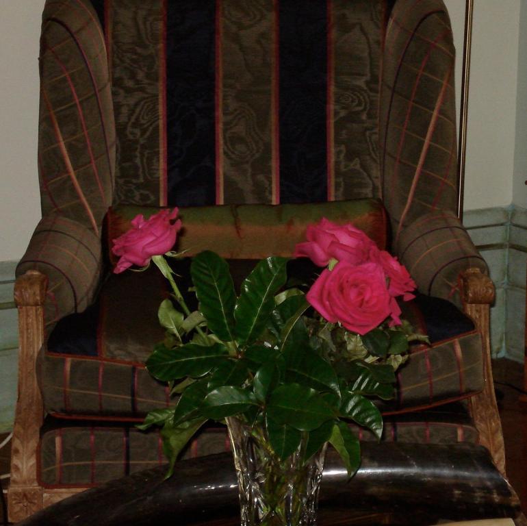Bed and Breakfast Cotter House Luxury Retreat Auckland Exterior foto
